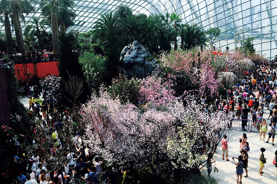 Gardens by the Bay 